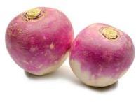 Fresh Turnip