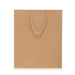 Plain Brown Paper Bag