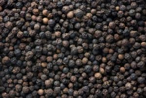 Malabar Black Pepper Seeds