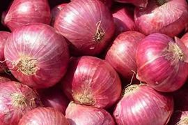 Fresh Onion