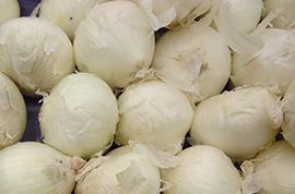 Fresh White Onion