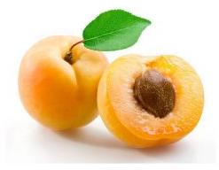 Fresh Apricot