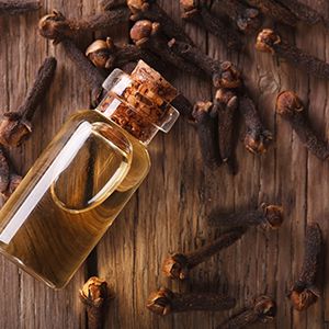 Clove Bud Oil