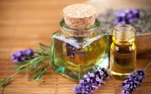 Lavender Oil