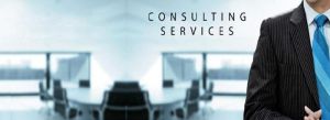 Visa Consultant Services