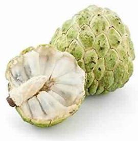 Fresh Custard Apple