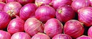 Fresh Onion