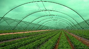 Agro Shade Net