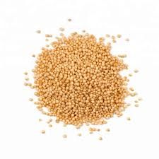 Organic Amaranth Seeds