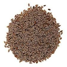 Organic Psyllium Seeds