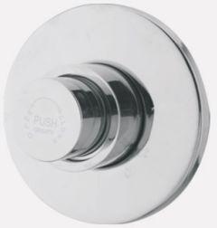 Flush Valve Push