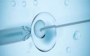 ivf treatment