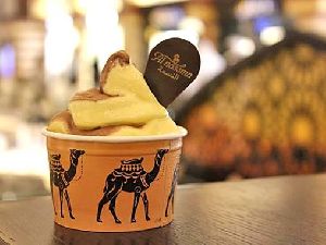 Camel Milk Ice-cream