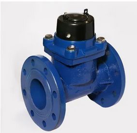 Flanged End Water Meter