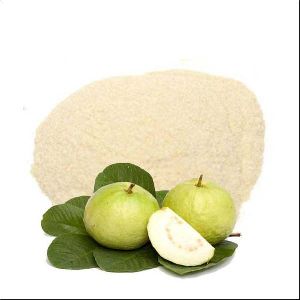 Spray Dried Guava Powder