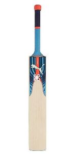 English Willow Cricket Bat