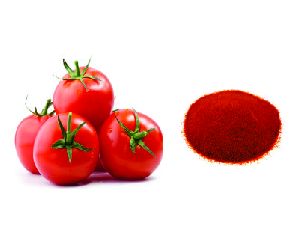 Spray Dried Tomato Powder