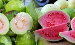 Fresh Guava