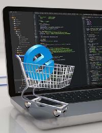 Ecommerce Website Development Services