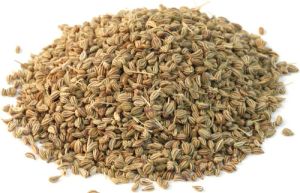 Ajwain Oil