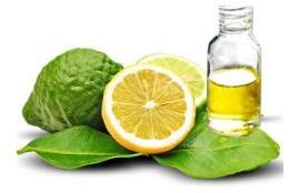 Bergamot Oil