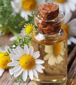 Chamomile Oil