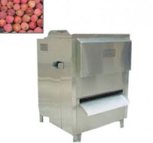 Lychee Peeling Machine