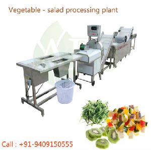 Salad Processing Machine