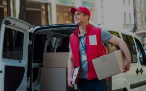 Domestic Courier Services