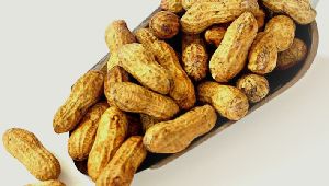 Roasted Whole Peanuts
