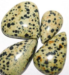 Dalmatian Jasper