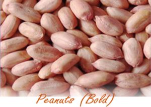 Peanut Bold