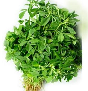 Organic Fenugreek Leaves