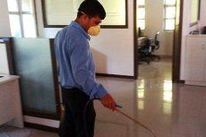 commercial pest control services