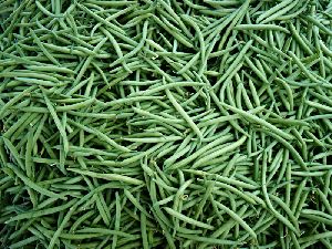 Fresh French Beans