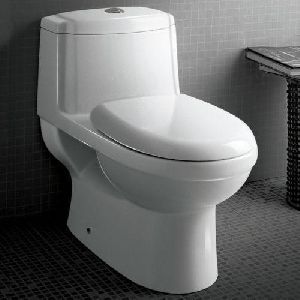 Modern Water Closet