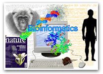 bioinformatics services