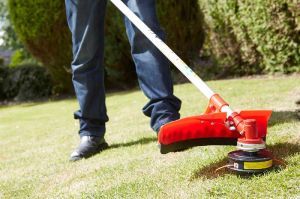 garden cleaning services