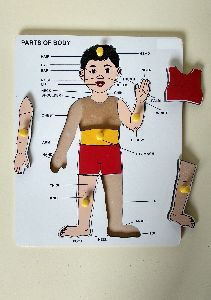 Wooden Parts Of Body Puzzle