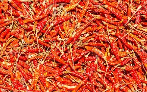 Dried Red Chilli