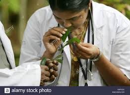 Ayurveda Doctors