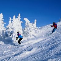Skiing in Manali Tour Packages
