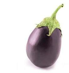 Fresh Brinjal