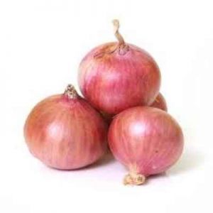 Fresh Onion