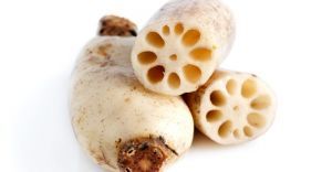 Lotus Root