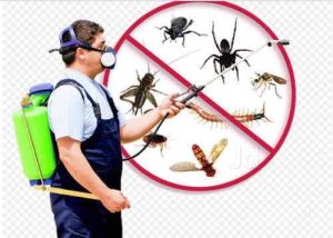 insect control