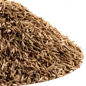 Cumin Seed