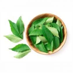 Curry Leaves