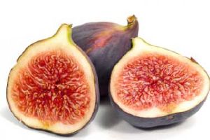 Fig