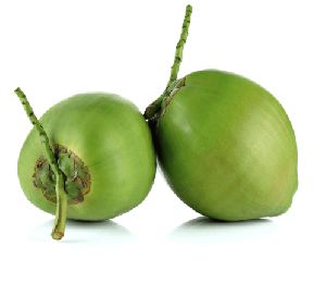 Hybrid Green Coconut